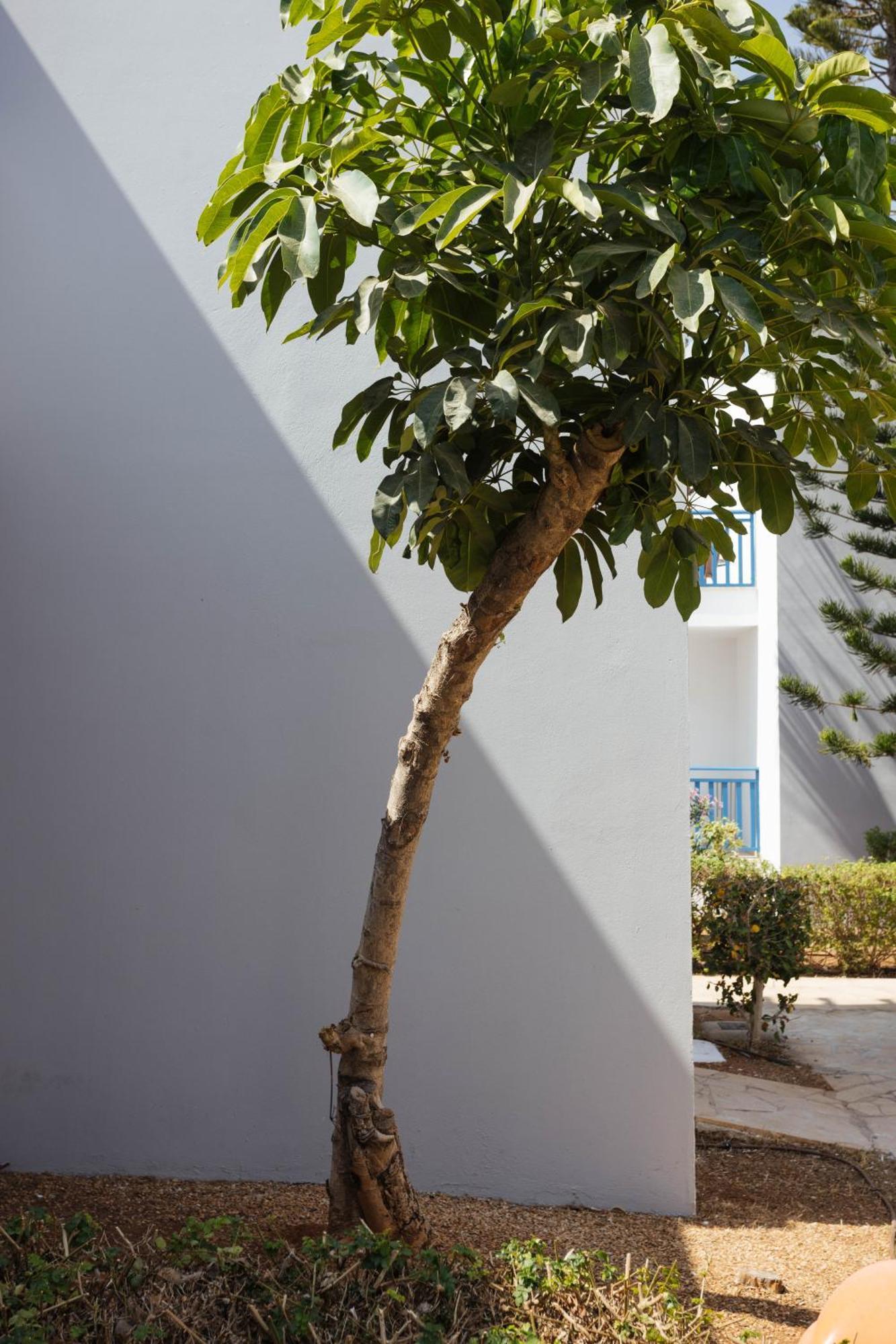Atlantica Callisto Ayia Napa Exterior photo